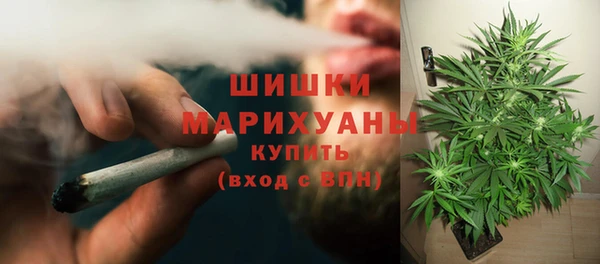 стафф Краснослободск