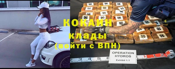 стафф Краснослободск