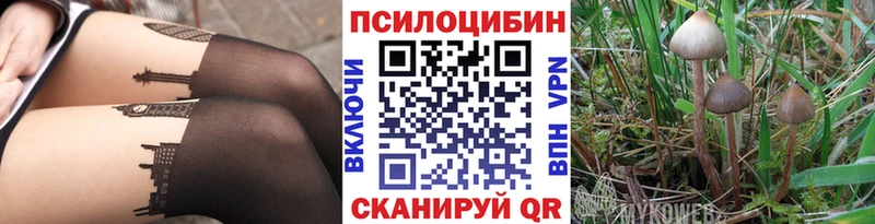 Купить закладки  Пермь  Галлюциногенные грибы мухоморы 